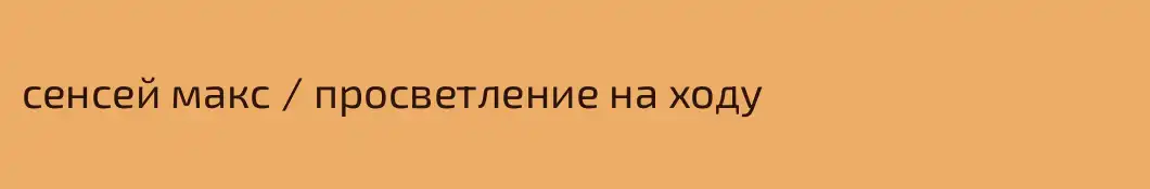 сенсей макс / просветление на ходу